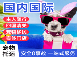 杭州航空运输国际宠物托运 【国